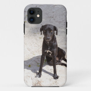 Zwarte hond met een kwaadaardig oog iPhone 11 hoesje