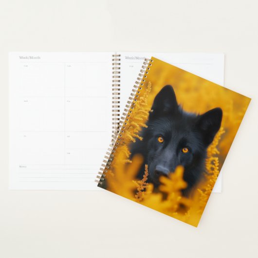 Zwarte hond met prachtige gouden ogen planner (Display)