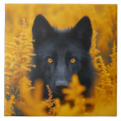 Zwarte hond met prachtige gouden ogen tegeltje (Voorkant)