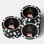 Zwarte hond poker chips (Opstapeling)