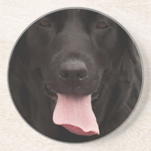 Zwarte hond zandsteen onderzetter