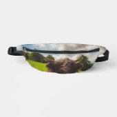 Zwarte hoogland koe grazend groen veld zonlicht heuptasje (Voorkant)