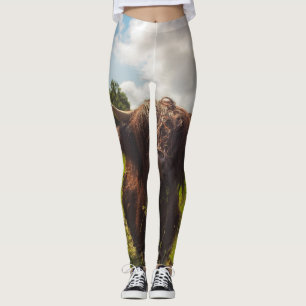 Zwarte hoogland koe grazend groen veld zonlicht leggings