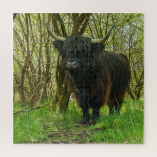 Zwarte Hoogland-Koe Legpuzzel