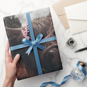 Zwarte hoogland Schotse koe grazend  retro Cadeaupapier