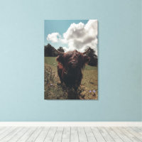 Zwarte hoogland Schotse koe grazend retro