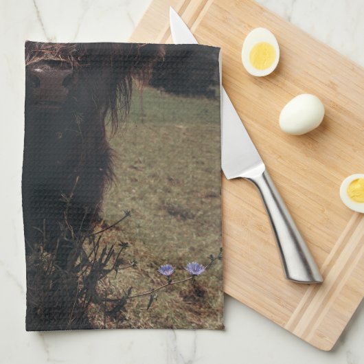 Zwarte hoogland Schotse koe grazend retro Theedoek (Quarter Fold)