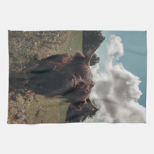 Zwarte hoogland Schotse koe grazend retro Theedoek (Horizontaal)