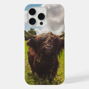 Zwarte hooglandkoe graast op groen veld in zonlich iPhone 15 pro max hoesje