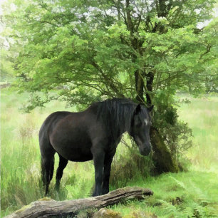 ZWARTE HORSE KERAMISCHE KNOP