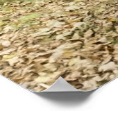 ZWARTE HORSE POSTER (Hoek)