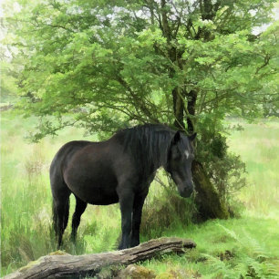 ZWARTE HORSE SNIJPLANK