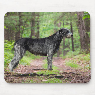 Zwarte Ierse Wolfhound Posing in een bos Muismat