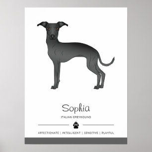 Zwarte Italiaanse Greyhound Lieve Hond Met Aangepa Poster