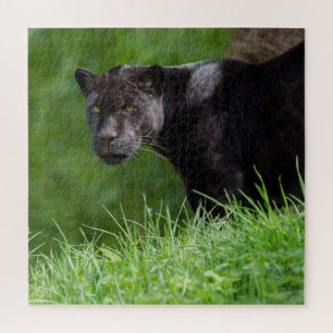 Zwarte Jaguar Die het Licht Bezit Legpuzzel