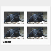 Zwarte Jaguar Rechthoek Stickers (Vel)