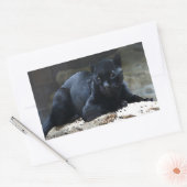 Zwarte Jaguar Rechthoek Stickers (Envelop)