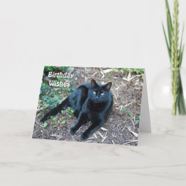 Zwarte Kaart 1 van de Verjaardag van de Kat