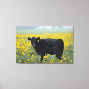 Zwarte Kalf in een Veld met Zonnebloemen Canvas Afdruk