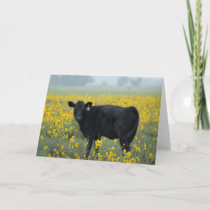 Zwarte kalf in een zonnebloempel kaart