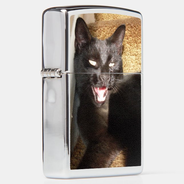 ZWARTE KAT (Rechts)