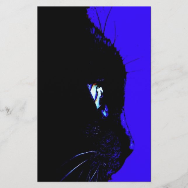 Zwarte kat (Voorkant)