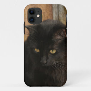 Zwarte kat, amberkleurige ogen, getextureerde aard iPhone 11 hoesje