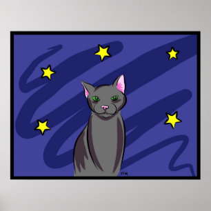 Zwarte kat bij nacht poster