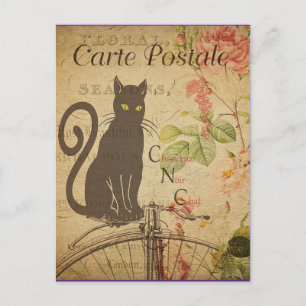 zwarte kat, briefkaart