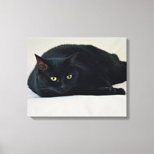 Zwarte kat canvas afdruk (Voorkant)