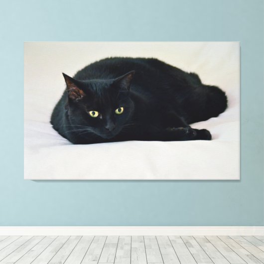 Zwarte kat canvas afdruk (Insitu (Houten vloer))