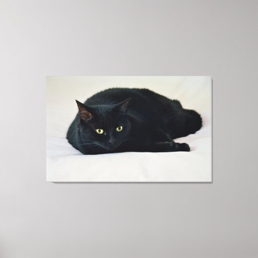 Zwarte kat canvas afdruk (Voorkant)