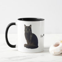 Zwarte kat die ogen staart | Ik kijk naar je wit