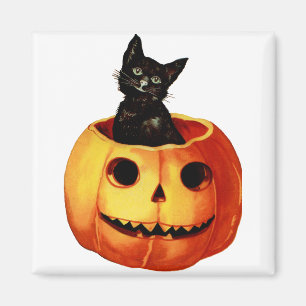 zwarte kat en glimlach Jack-o-Lantern Magneet