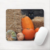Zwarte kat en pompoenen muismat (Met muis)