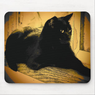 Zwarte kat en Sinaasappel Muismat