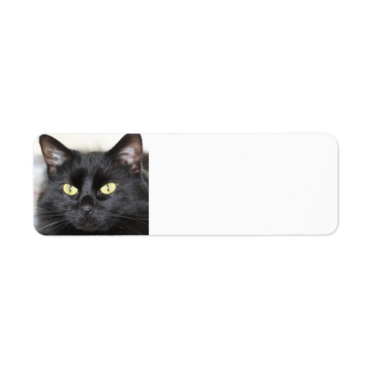 Zwarte kat etiket (Voorkant)