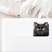 Zwarte kat etiket (Insitu)