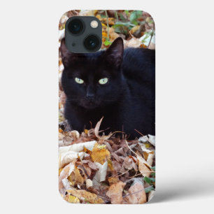 Zwarte kat foto Apple iPhone 8/7, stoere Xtreme iPhone 13 Hoesje