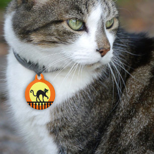 Zwarte Kat Gele Maan Hek Huisdierpenning