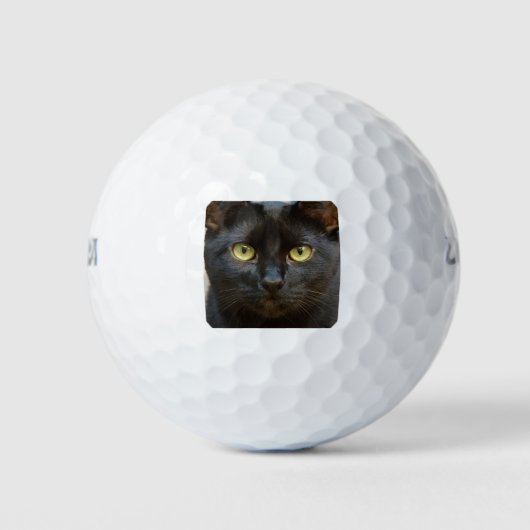 Zwarte kat golfballen (Voorkant)