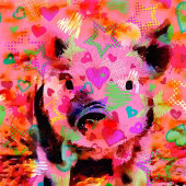 zwarte kat golfheadcover