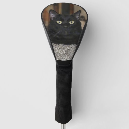 Zwarte Kat Golfheadcover (Voorkant)