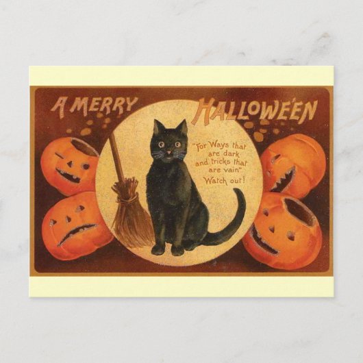  zwarte kat Halloween Briefkaart (Voorkant)