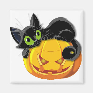 Zwarte kat Halloween Kitten Clip Magneet