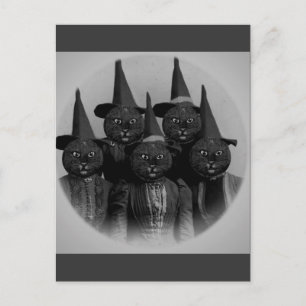  zwarte kat/heks briefkaart