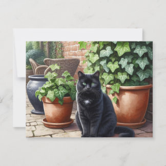 Zwarte kat in de tuin Kattenliefhebbers Briefkaart