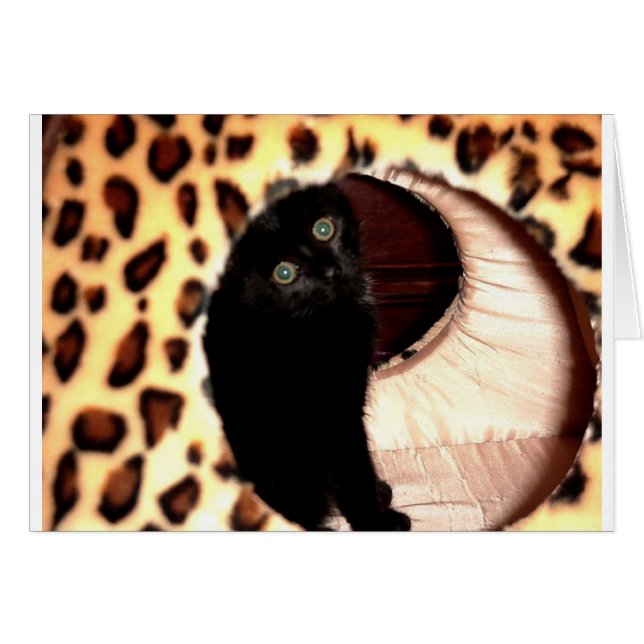 Zwarte kat in een luipaard (Voorkant Horizontaal)