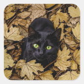 Zwarte kat in herfstbladeren vierkante sticker (Voorkant)