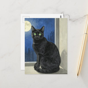 Zwarte Kat in het Raam op een Regenachtige Nacht Briefkaart